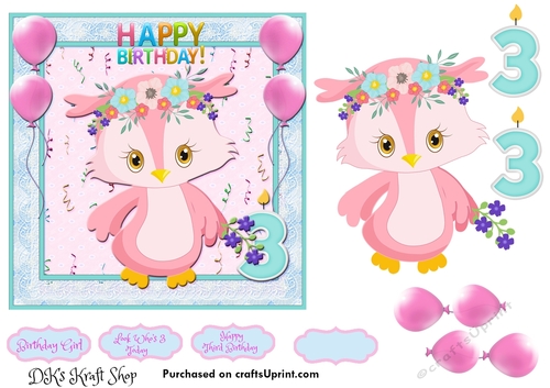 Little Owl Third Birthday 4