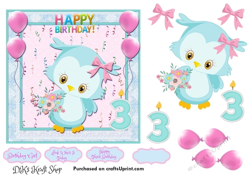 Little Owl Third Birthday 8