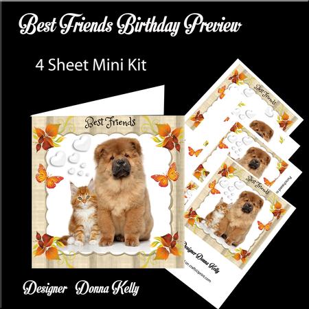 Best Friends Birthday Mini Kit