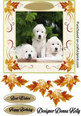 Cute White Puppies Birthday