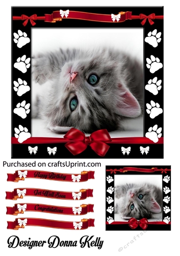 Precious Kitten Birthday/ Get Well card front