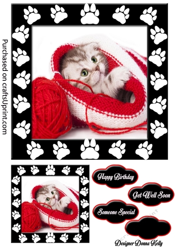 Hide and Seek Kitten Birthday/ Get Well Soon Card