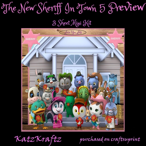 The New SherIff In Town 5 Mini Kit