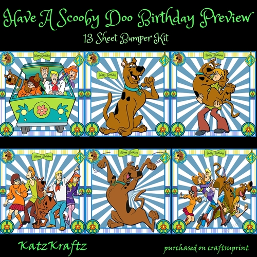 Have A Scooby Doo Birthday Bumper Kit