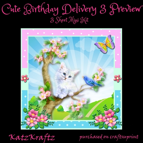 Cute Birthday Delivery Mini Kit 3