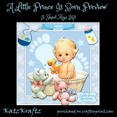 A Little Prince Is Born 