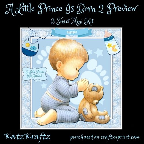 A Little Prince Is Born 2