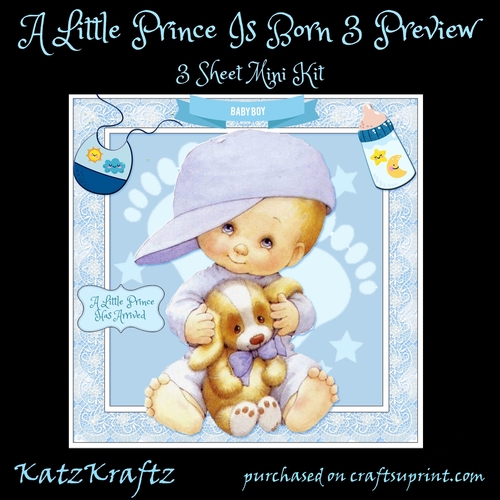 A Little Prince Is Born 3