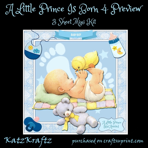 A Little Prince Is Born 4