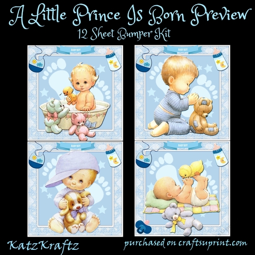 A Little Prince Is Born Bumper Kit
