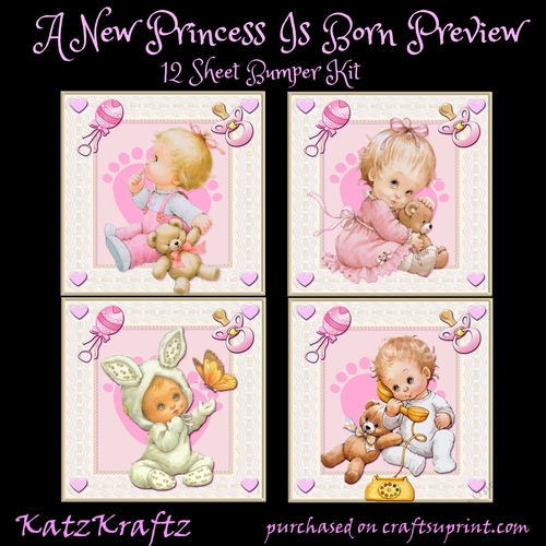 A New Princess Is Born Bumper Kit