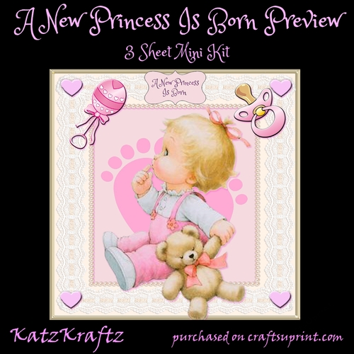A New Princess Is Born 1