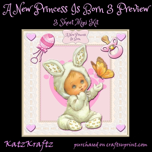 A New Princess Is Born 3