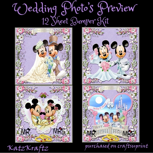 Wedding Photos Bumper Kit