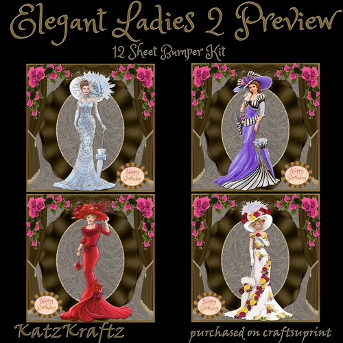 Elegant Lady 2 Bumper Kit