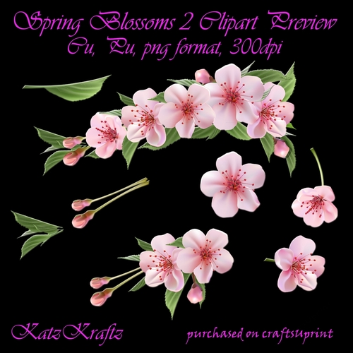 6 Spring Blossoms  2 Clipart CU, PU