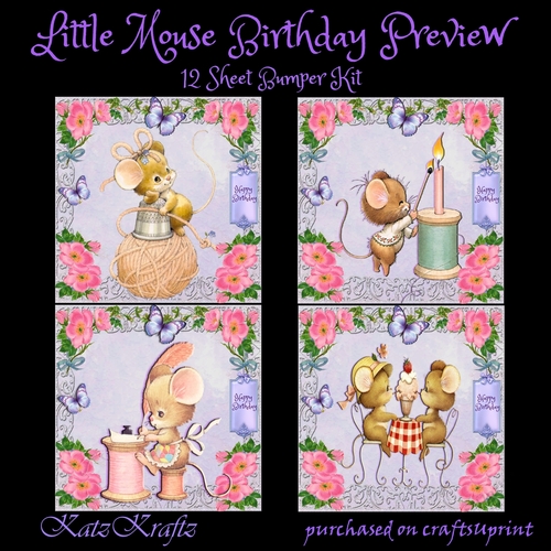 Little Mouse Birthday Bumper Kit