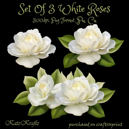 Set Of 3 White Roses