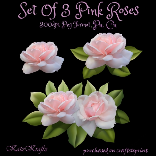 Set Of 3 Pink Roses