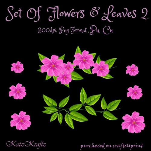 Set of Flowers & Leaves 2
