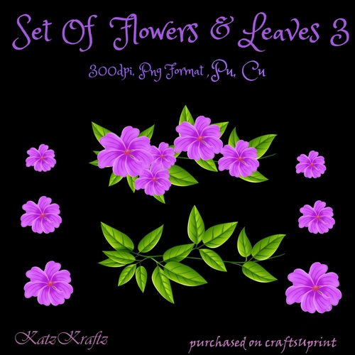 Set of Flowers & Leaves 3