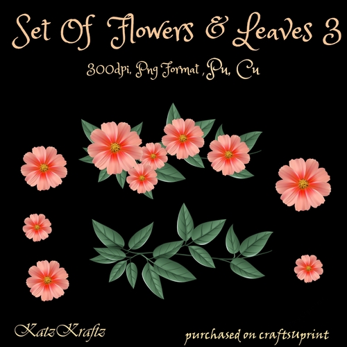 Set of Flowers & Leaves 4