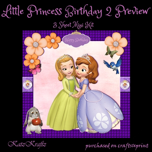 Little Princess Birthday 2