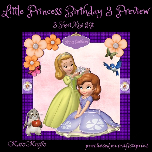 Little Princess Birthday 3
