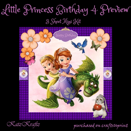 Little Princess Birthday 4