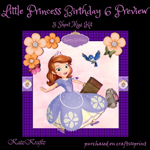 Little Princess Birthday 6