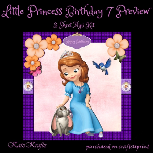 Little Princess Birthday 7