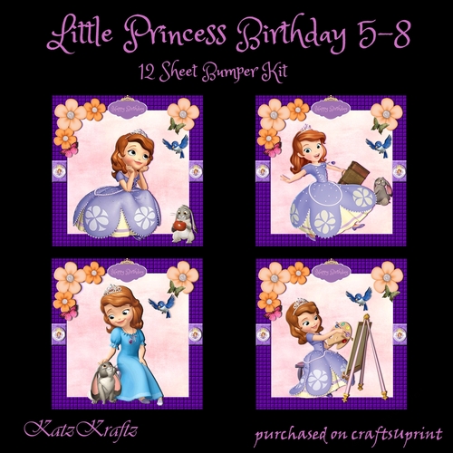 Little Princess Birthday 5-8 Bumper Kit