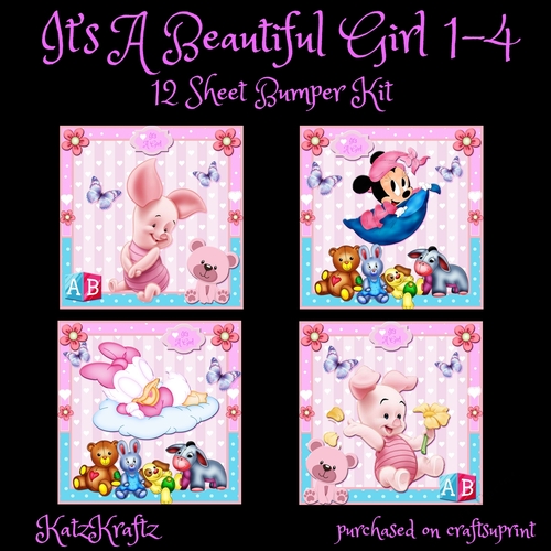 Its A Beautiful Girl 1-4 Bumper Kit