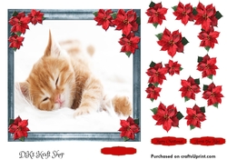 Pet Lovers Christmas 11