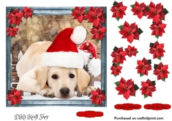 Pet Lovers Christmas 13