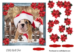 Pet Lovers Christmas 14