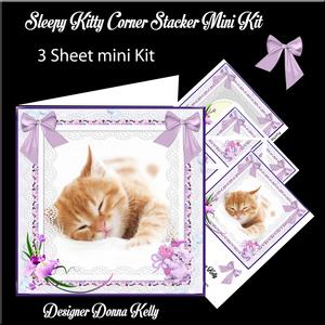 Sleepy Kitty Mini Kit