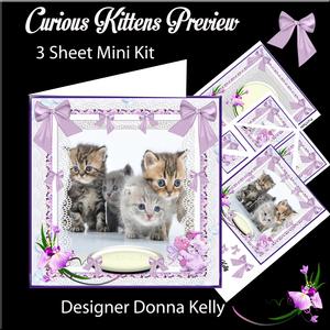 Curious Kittens Mini Kit