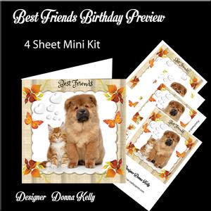 Best Friends Birthday Mini Kit