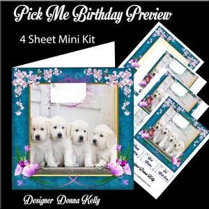 Pick Me Birthday Mini Kit