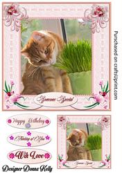 Cat Nip Please Multi Use Card Front