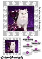 Elegant Kitty Birthday