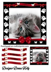 Precious Kitten Birthday/ Get Well card front