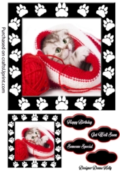 Hide and Seek Kitten Birthday/ Get Well Soon Card