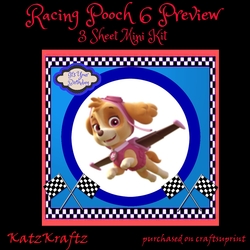 Racing Pouch 6 Mini Kit