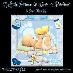 A Little Prince Is Born 4