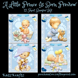 A Little Prince Is Born Bumper Kit