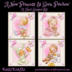 A New Princess Is Born Bumper Kit