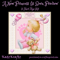 A New Princess Is Born 1