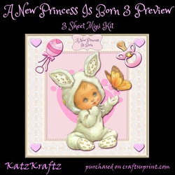 A New Princess Is Born 3